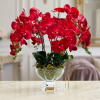 Composition de Prestige Orchidées Rouges Côte Noire CPO14 - Adja Store