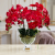Composition de Prestige Orchidées Rouges Côte Noire CPO14 - Adja Store