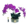 Côte Noire - Bouquet d’orchidées – Fuchsia – Médaillon doré – Réf. OOV09